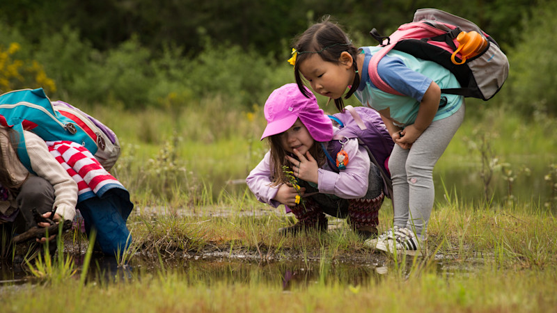 Rovers Adventure East Bay outdoor shuttle camp for Grades K-1