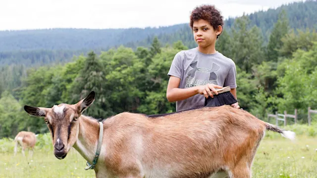 Wilders caring for farm animals